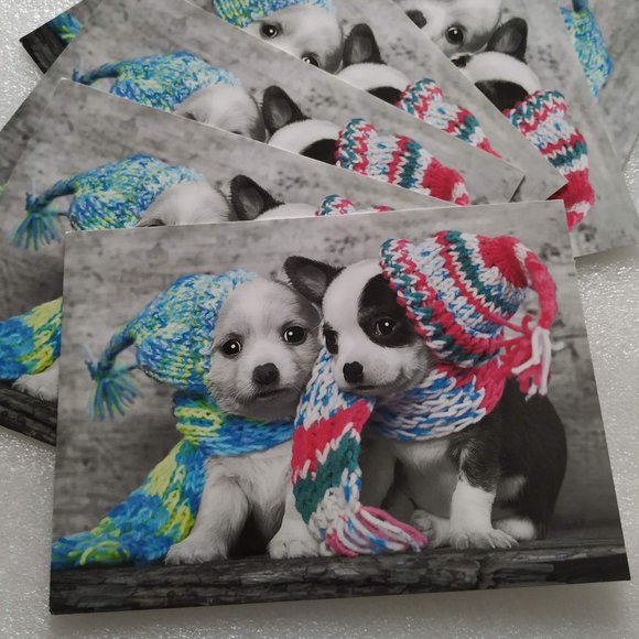 🎄🐶8 Dogs Puppy Thank you cards/Christmas Greeting cards - Picture 1 of 5